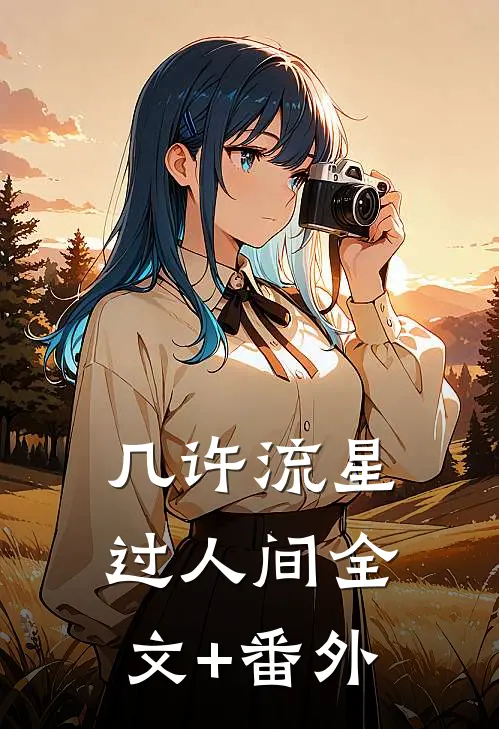 几许流星过人间全文+番外