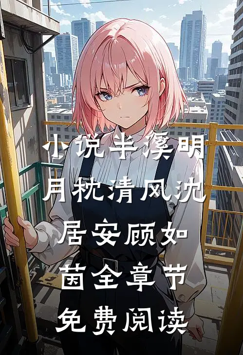 小说半溪明月枕清风沈居安顾如茵全章节免费阅读
