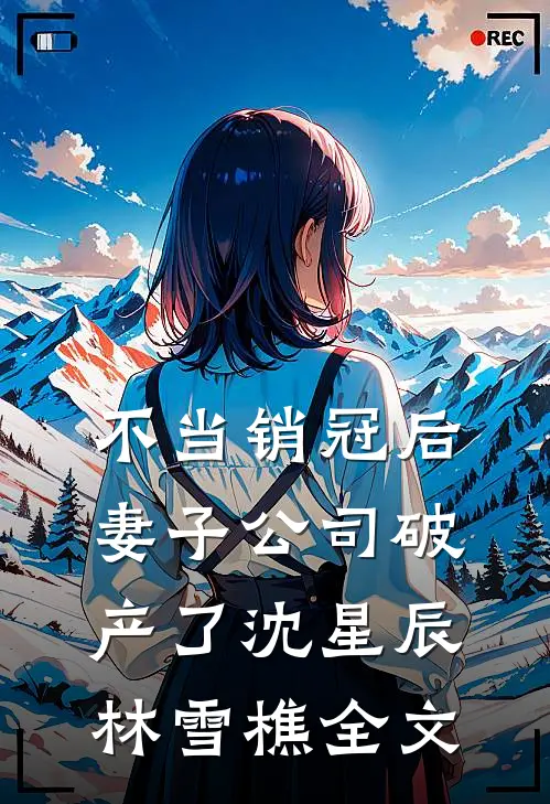 不当销冠后，妻子公司破产了沈星辰林雪樵全文