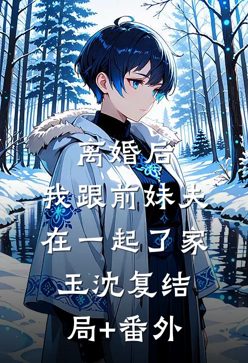 离婚后，我跟前妹夫在一起了家玉沈复结局+番外