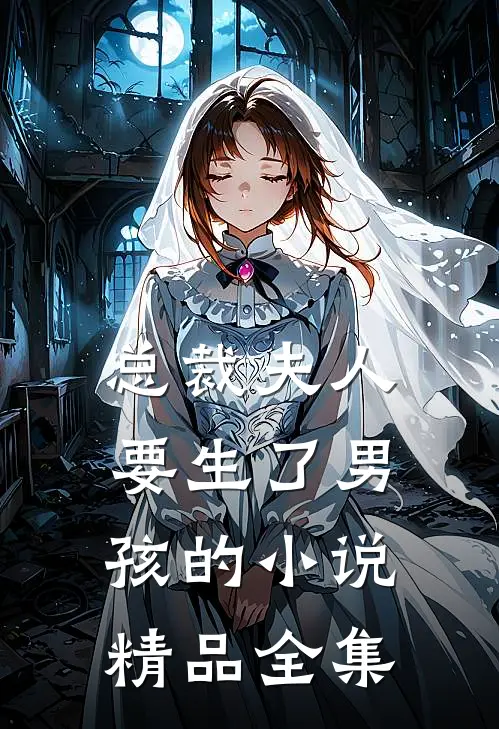 总裁夫人要生了男孩的小说精品全集
