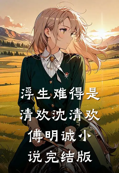 浮生难得是清欢沈清欢傅明诚小说完结版
