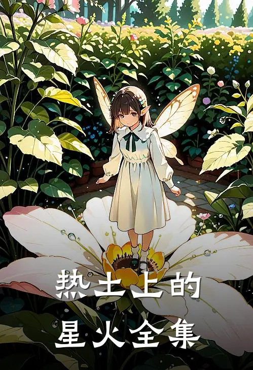 热土上的星火 全集