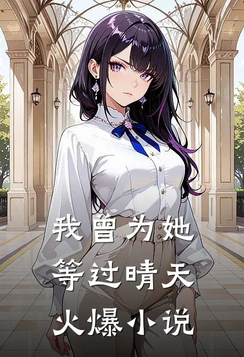 我曾为她等过晴天火爆小说