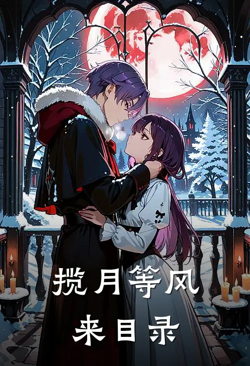 揽月等风来目录