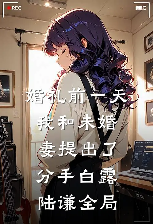 婚礼前一天，我和未婚妻提出了分手白露陆谦全局