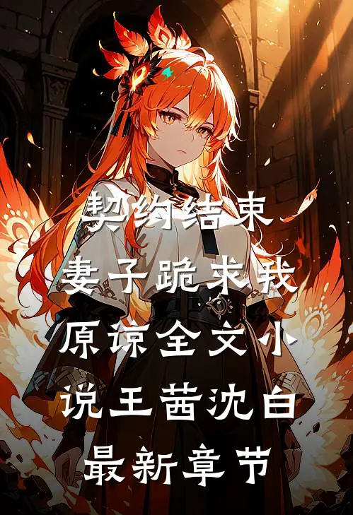 契约结束，妻子跪求我原谅全文小说王茜沈白最新章节