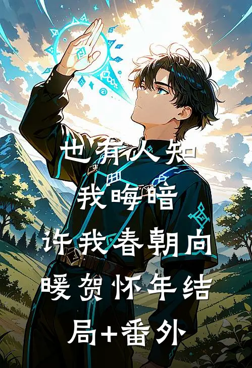 也有人知我晦暗，许我春朝向暖贺怀年结局+番外